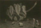 ^ZRCƃnRV@@rl